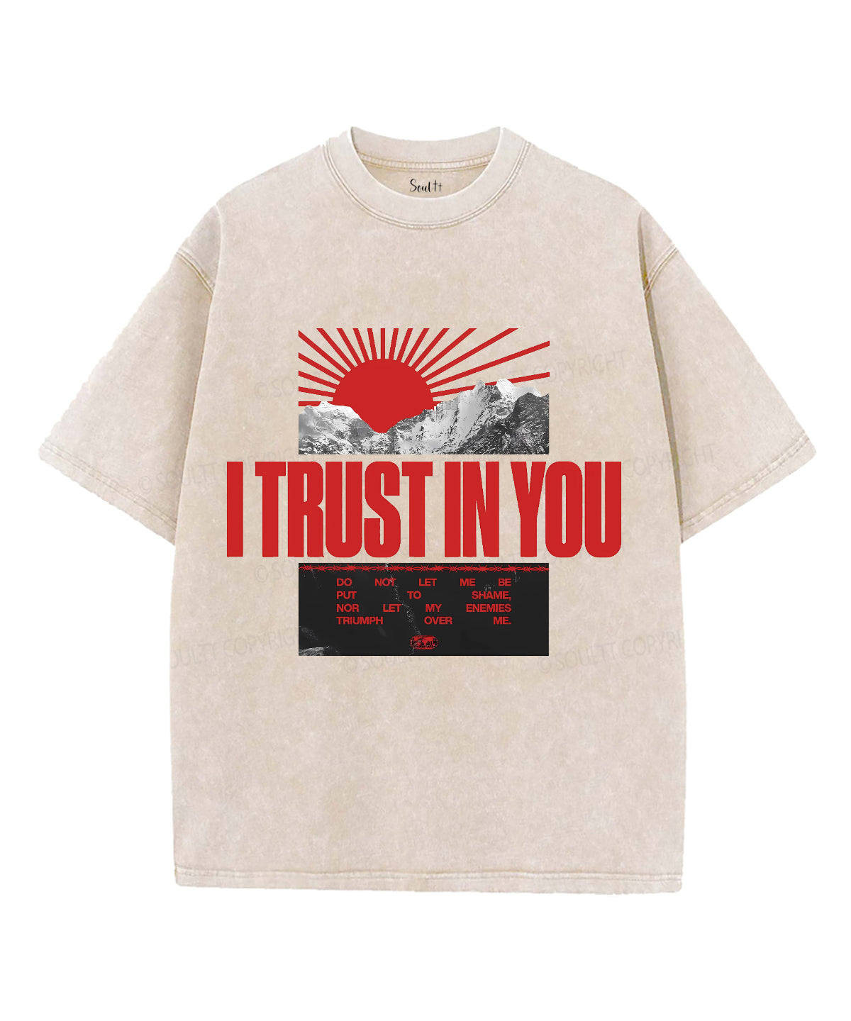 I Trust In You Unisex Washed Christian T-shirt Hoodie, Sweatshirt | CiraTrend.com (Image 1)