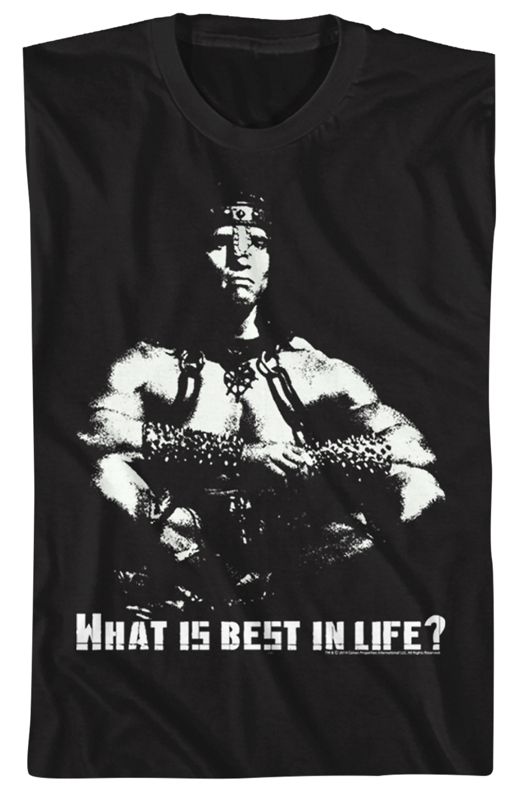 Conan The Barbarian Shirt Hoodie, Sweatshirt | CiraTrend.com (Image 2)