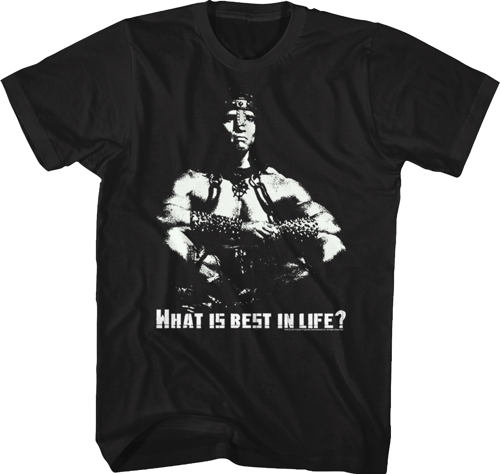 Conan The Barbarian Shirt Hoodie, Sweatshirt | CiraTrend.com (Image 1)