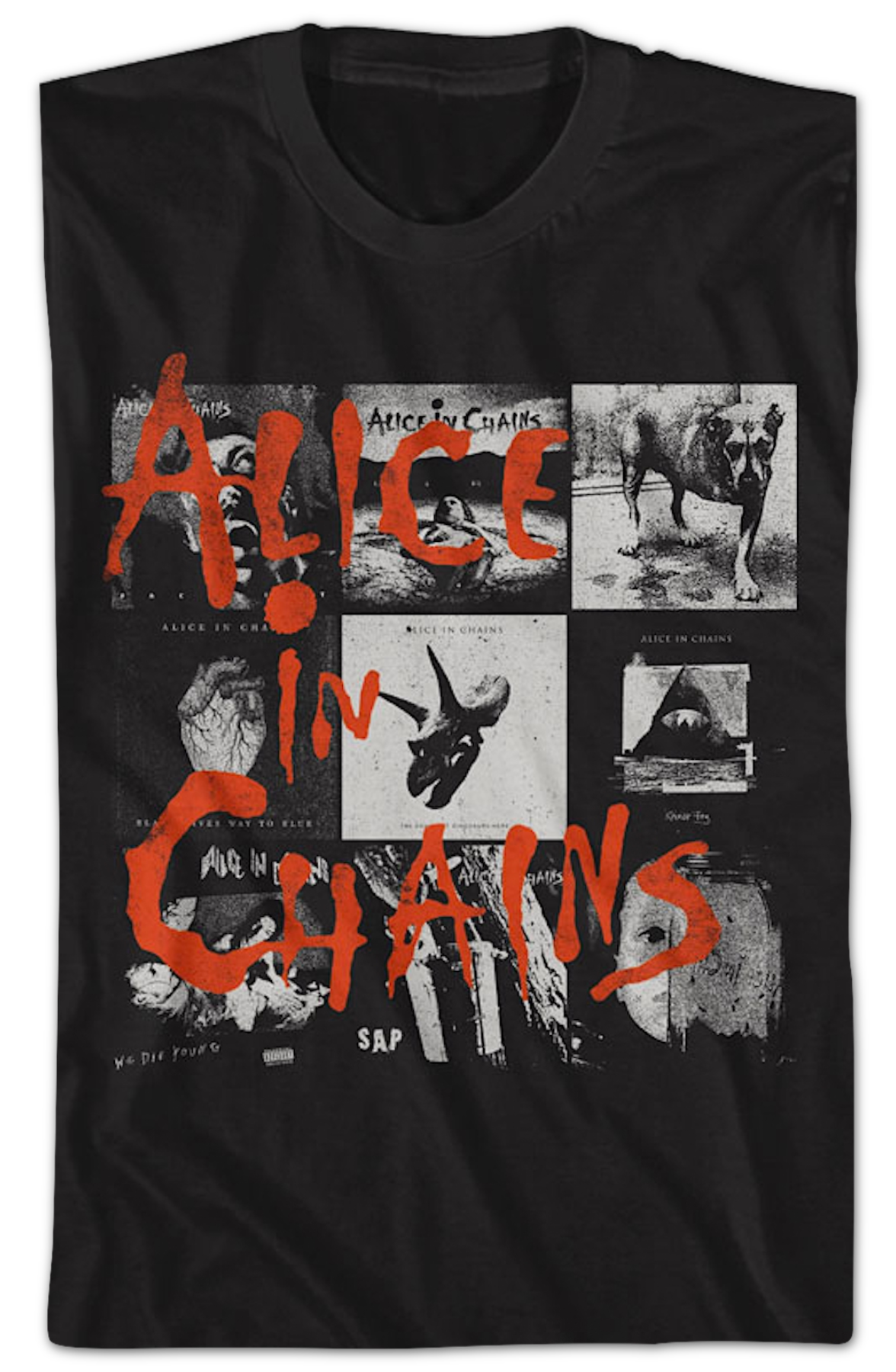 Cover Artwork Alice In Chains T-Shirt Hoodie, Sweatshirt | CiraTrend.com (Image 2)