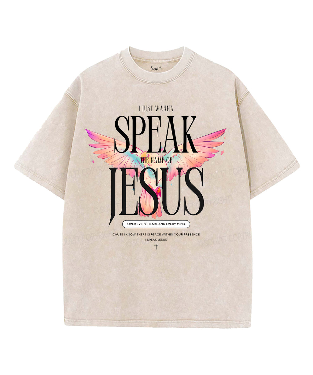 Speak The Name Of Jesus Unisex Washed Christian T-shirt Hoodie, Sweatshirt | CiraTrend.com (Image 2)