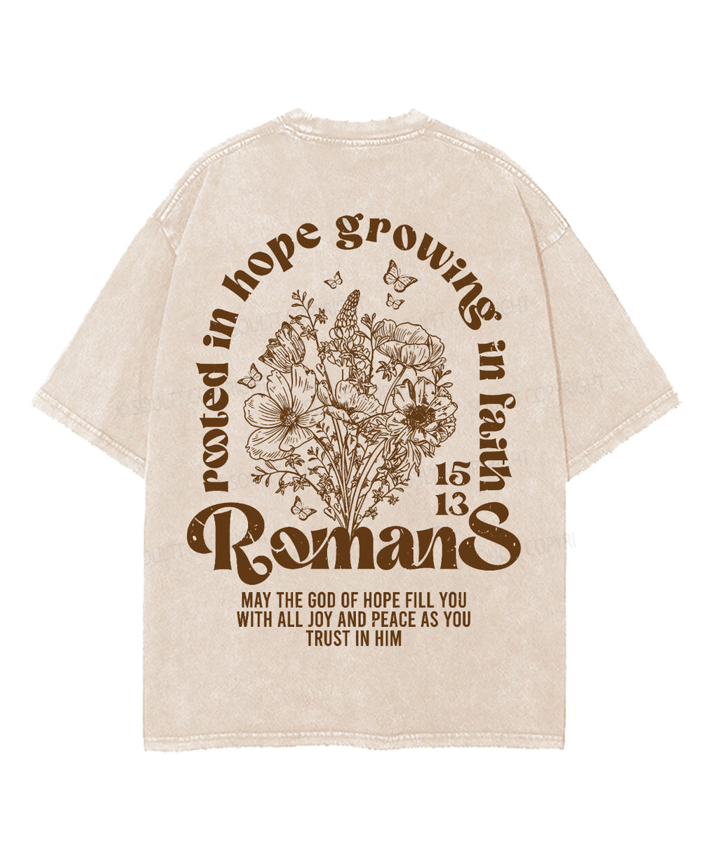 Growing In Faith Double Sided Unisex Washed Christian T-shirt Hoodie, Sweatshirt | CiraTrend.com (Image 3)