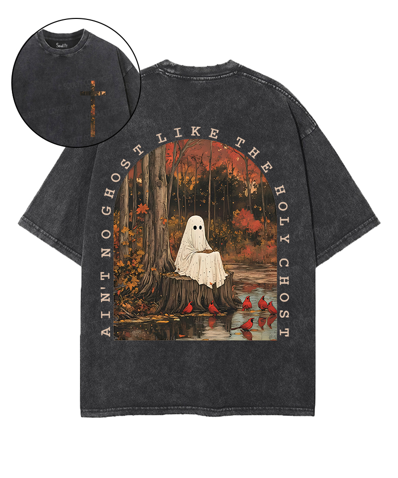 Ain't No Ghost Like The Holy Ghost Double Sided Unisex Washed Christian T-shirt Style001 Hoodie, Sweatshirt (Image 1)