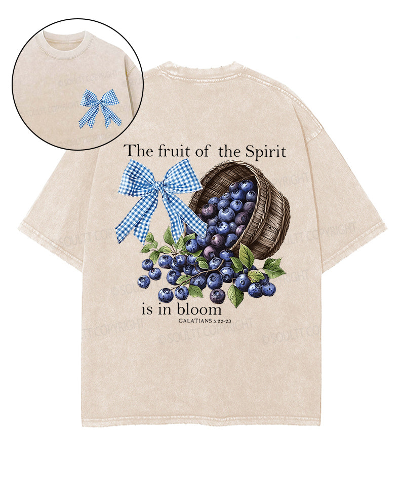 Fruit Spirit Double Sided Washed Christian T-Shirts, Hoodie, Sweatshirt
