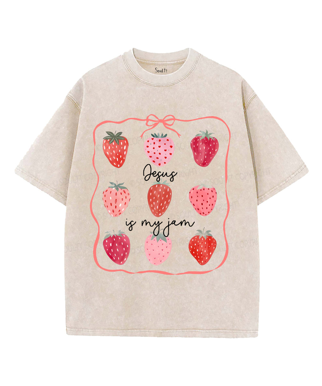 Fruit Of The Spirit Unisex Washed Christian T-shirt Style018 Hoodie, Sweatshirt | CiraTrend.com (Image 1)
