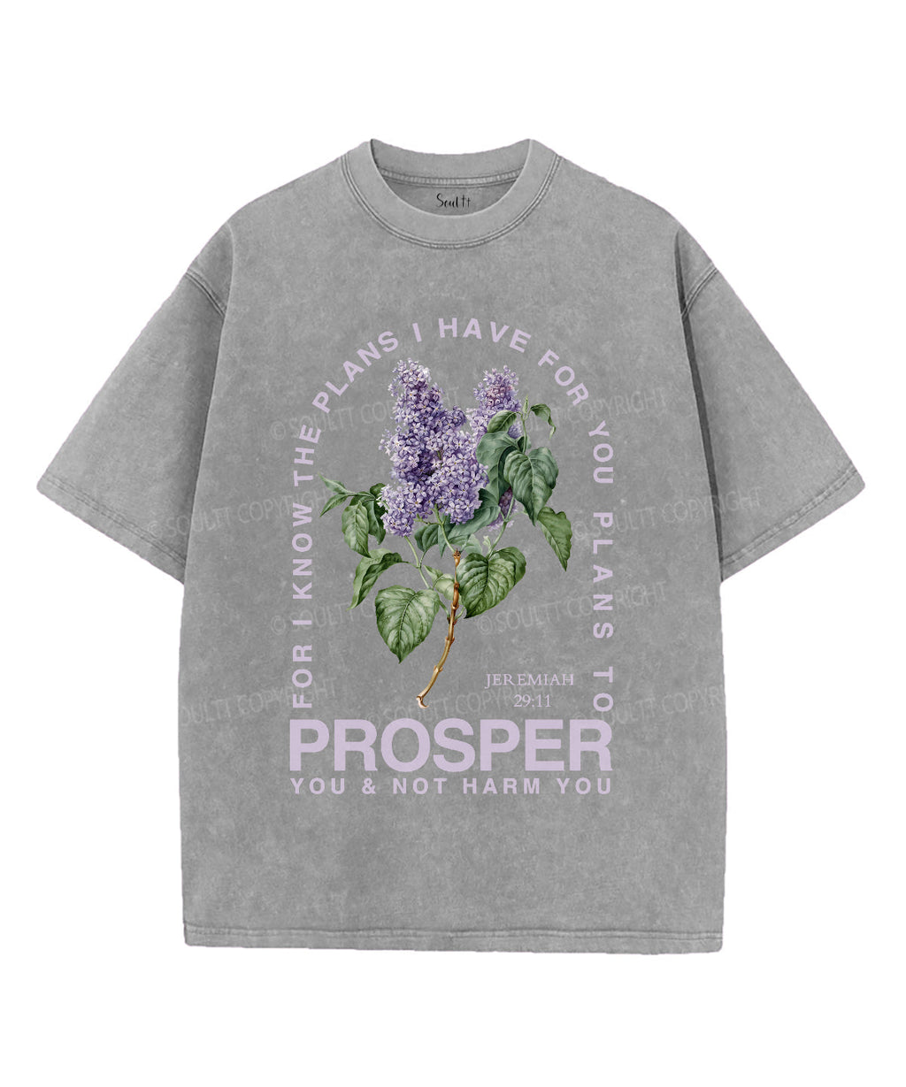 The Plans I Have For You Unisex Washed Christian T-shirt Hoodie, Sweatshirt | CiraTrend.com (Image 3)