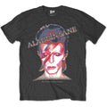 Aladdin Sane T Shirt Grey Hoodie, Sweatshirt | CiraTrend.com