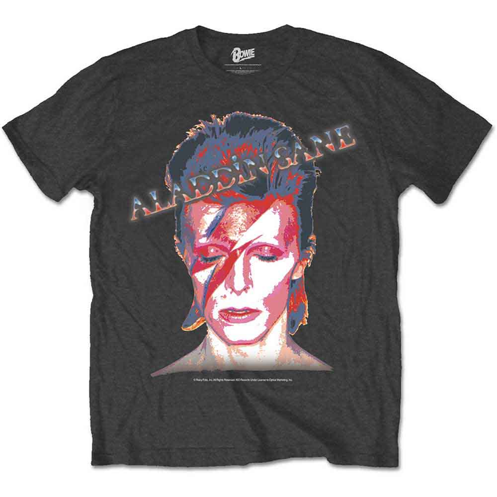Aladdin Sane T Shirt Grey Hoodie, Sweatshirt | CiraTrend.com