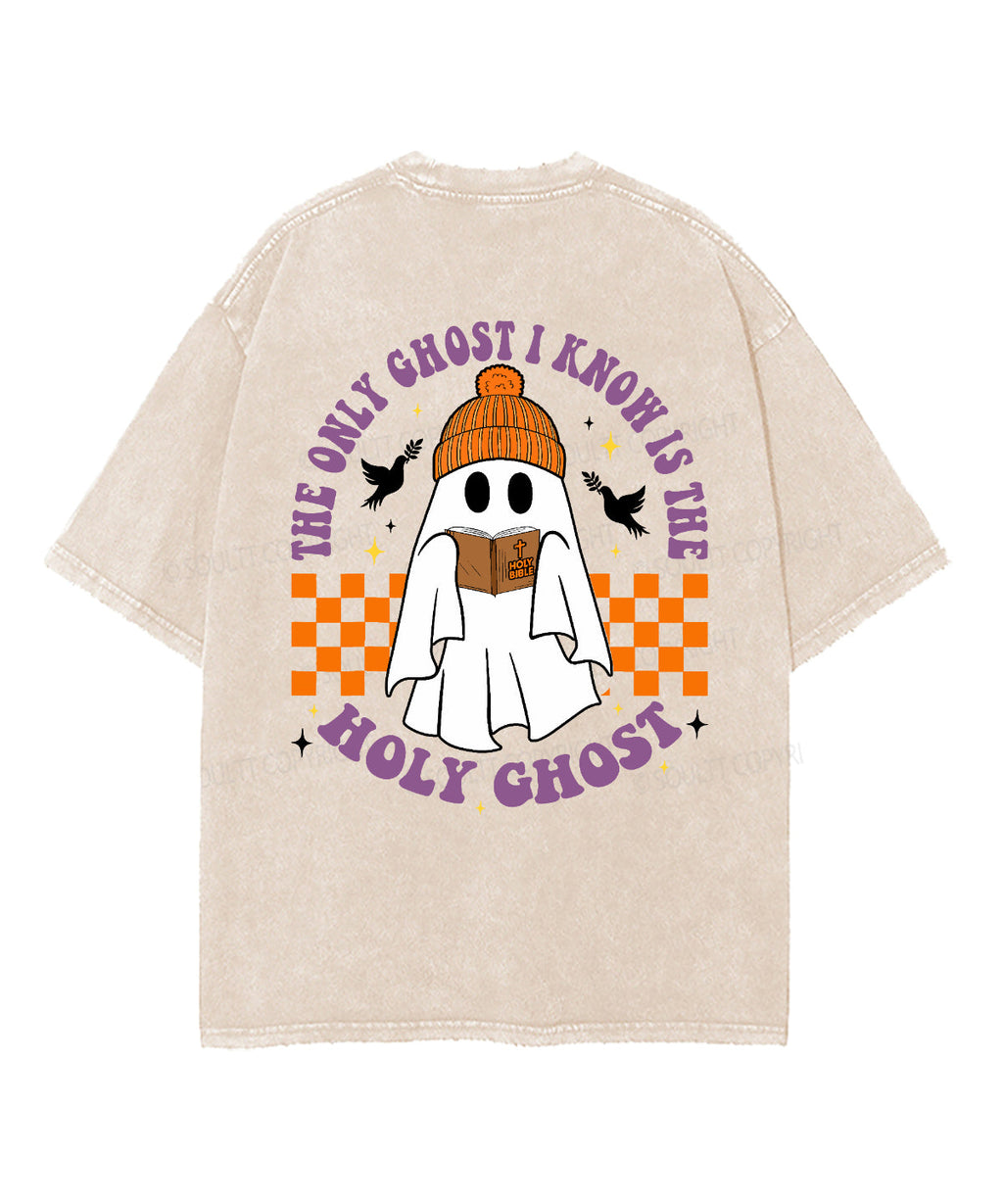 The Only Ghost I Know Is The Holy Ghost Double Sided Unisex Washed Christian T-shirt Style001 Hoodie, Sweatshirt (Image 2)