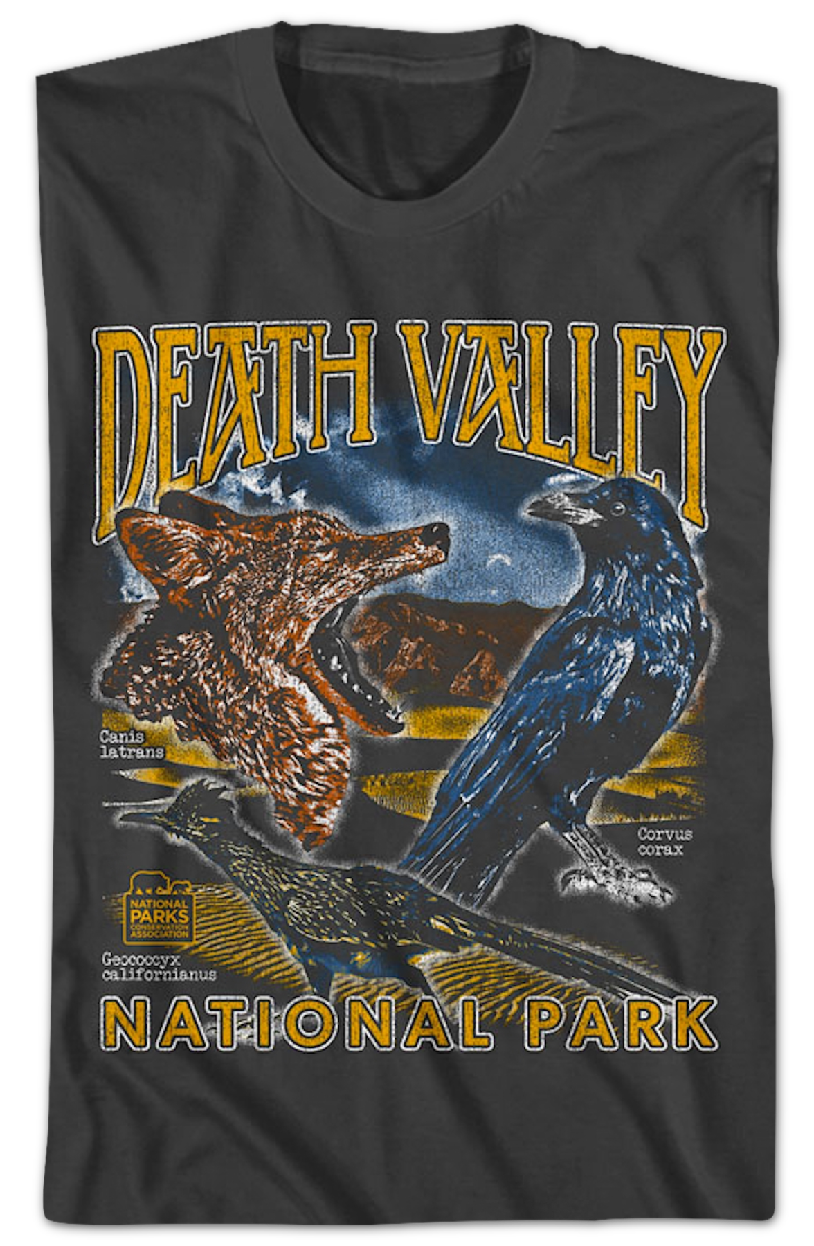 Death Valley National Park T-Shirt Hoodie, Sweatshirt | CiraTrend.com (Image 2)
