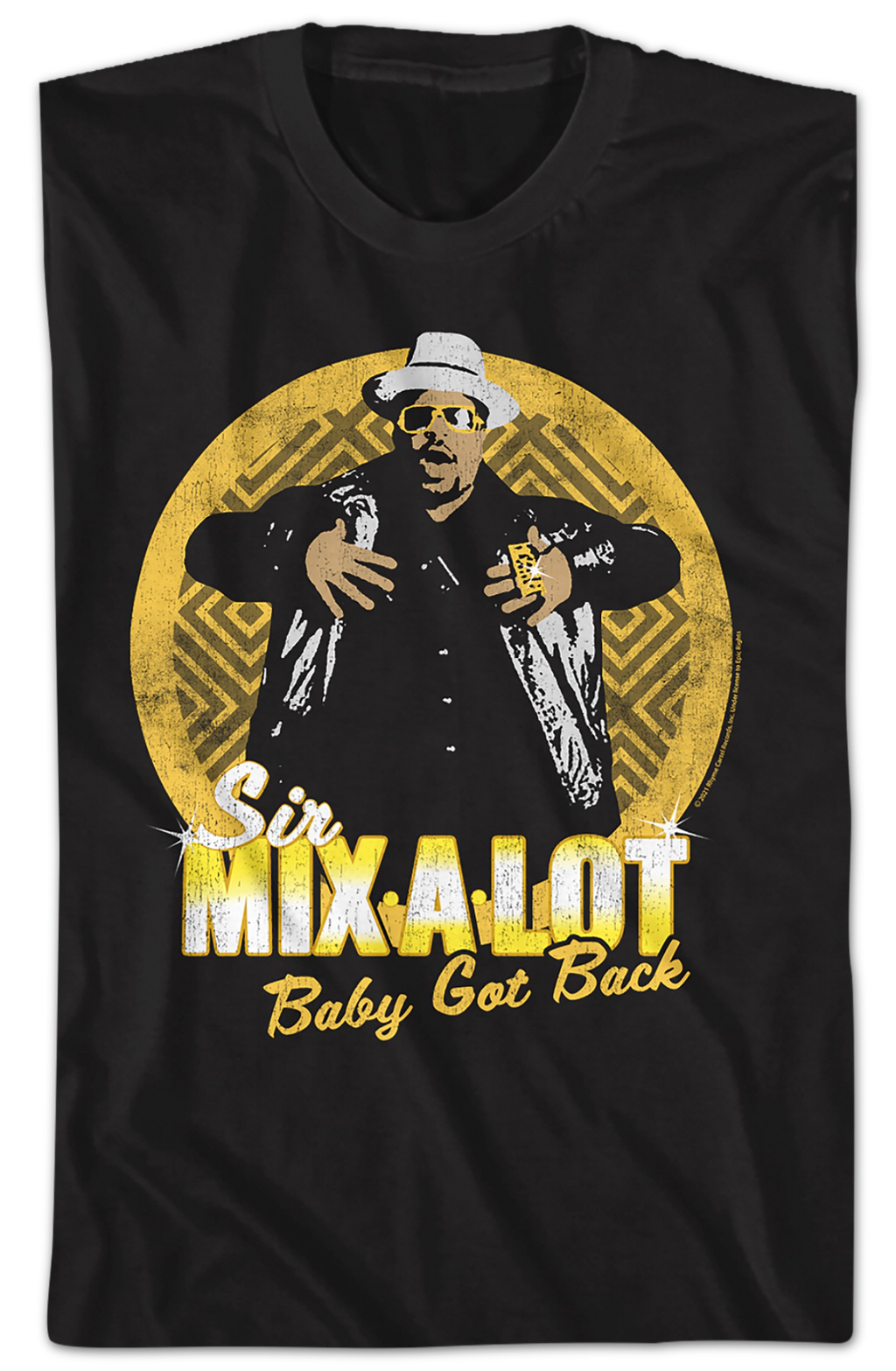 Distressed Baby Got Back Sir Mix-a-Lot Shirt Hoodie, Sweatshirt | CiraTrend.com (Image 2)