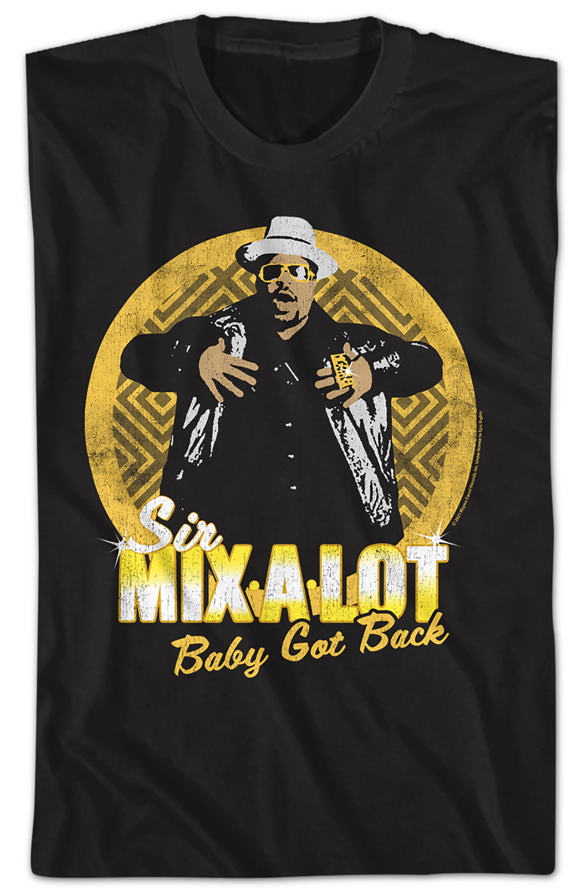Distressed Baby Got Back Sir Mix-a-Lot Shirt Hoodie, Sweatshirt | CiraTrend.com (Image 2)