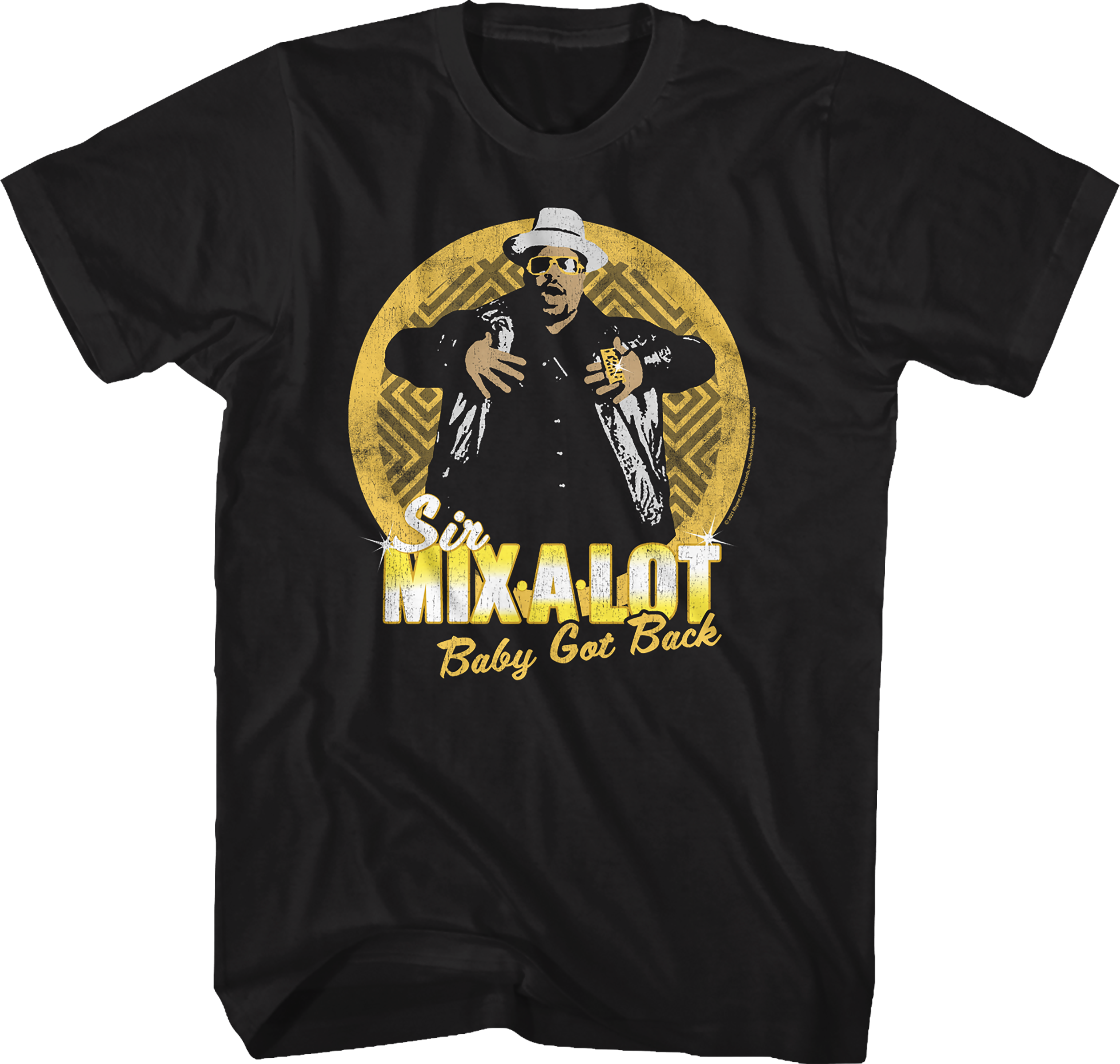 Distressed Baby Got Back Sir Mix-a-Lot Shirt Hoodie, Sweatshirt | CiraTrend.com (Image 1)