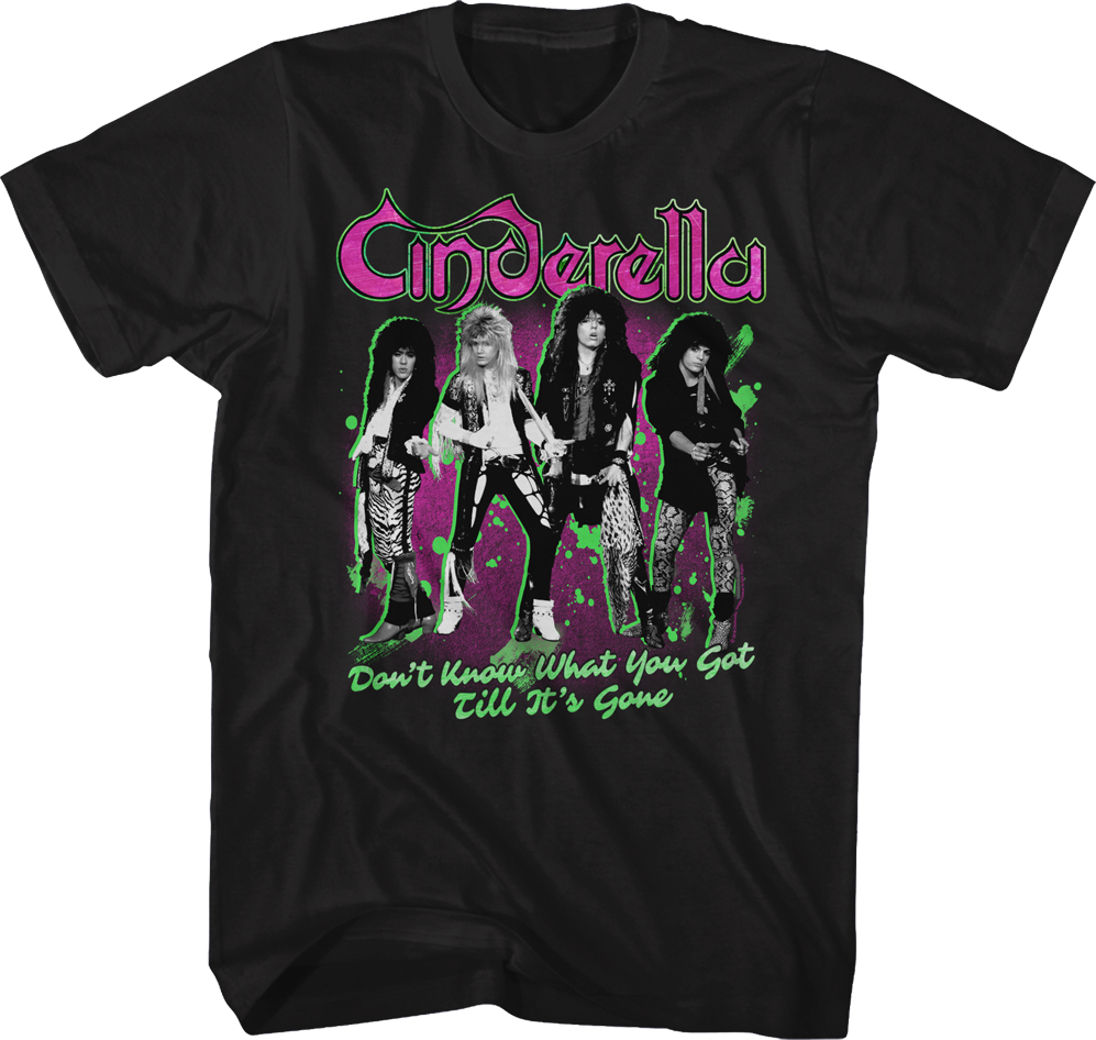 Don't Know What You Got Till It's Gone Cinderella T-Shirt Hoodie, Sweatshirt | CiraTrend.com (Image 1)
