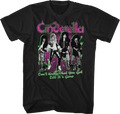 Don't Know What You Got Till It's Gone Cinderella T-Shirt Hoodie, Sweatshirt | CiraTrend.com (Image 1)