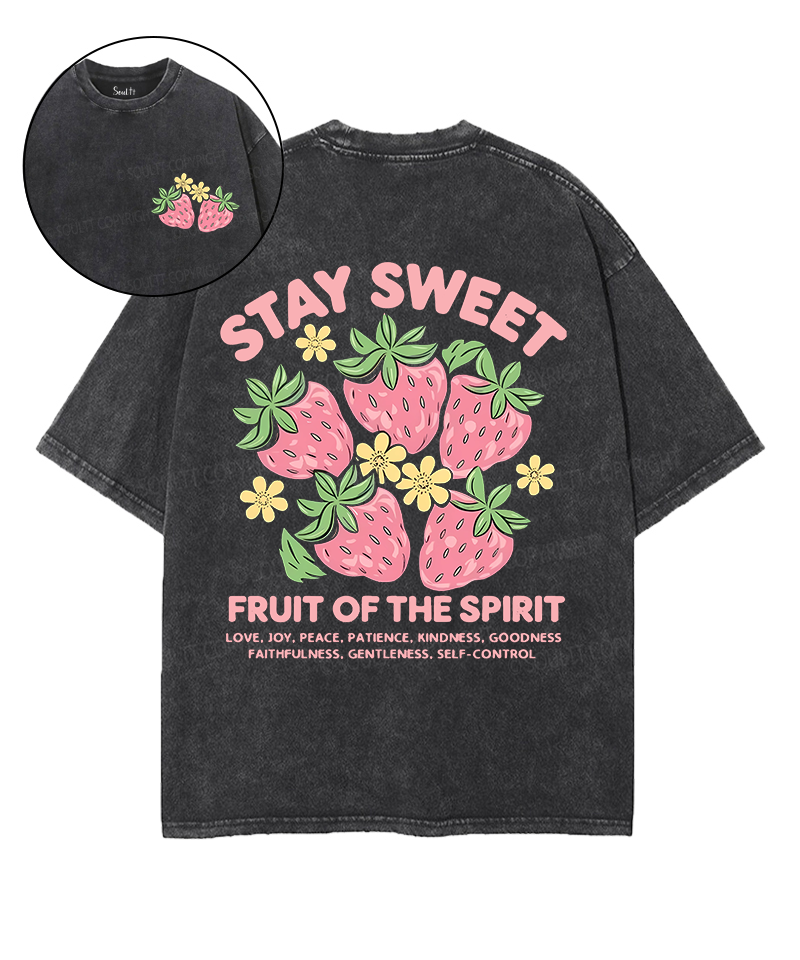 Fruit Of The Spirit Double Sided Unisex Washed Christian T-shirt Style029 Hoodie, Sweatshirt | CiraTrend.com (Image 1)