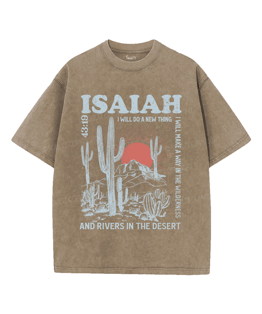 I Will Do New Thing Washed Christian T-Shirts, Hoodie, Sweatshirt