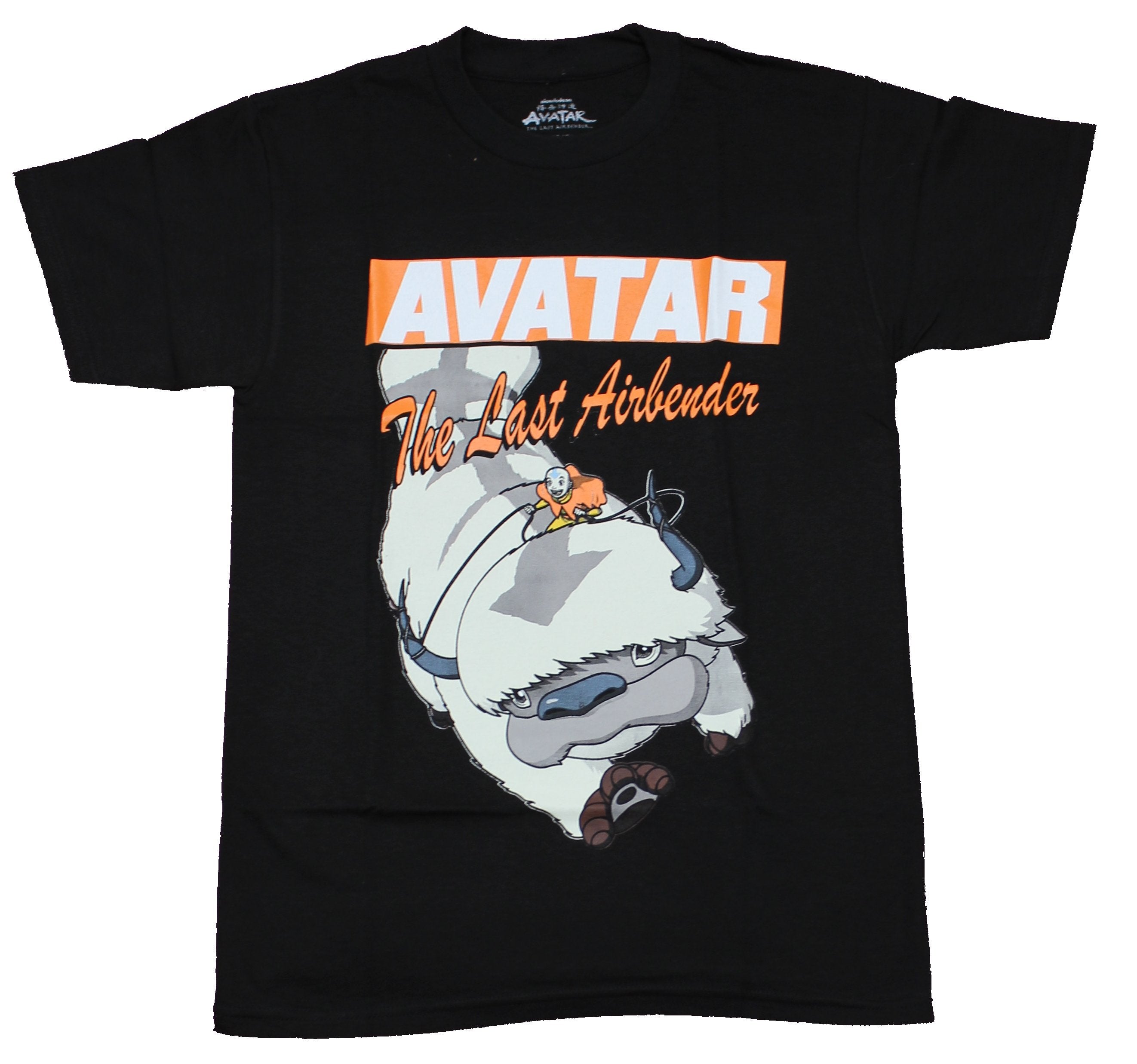 Avatar the Last Airbender Mens  T-Shirt - Aang Riding Appa Image Hoodie, Sweatshirt | CiraTrend.com