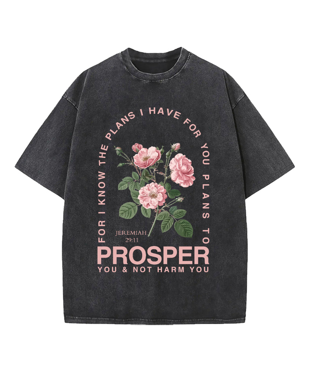 The Plans I Have For You Washed Christian T-shirt Hoodie, Sweatshirt | CiraTrend.com (Image 1)