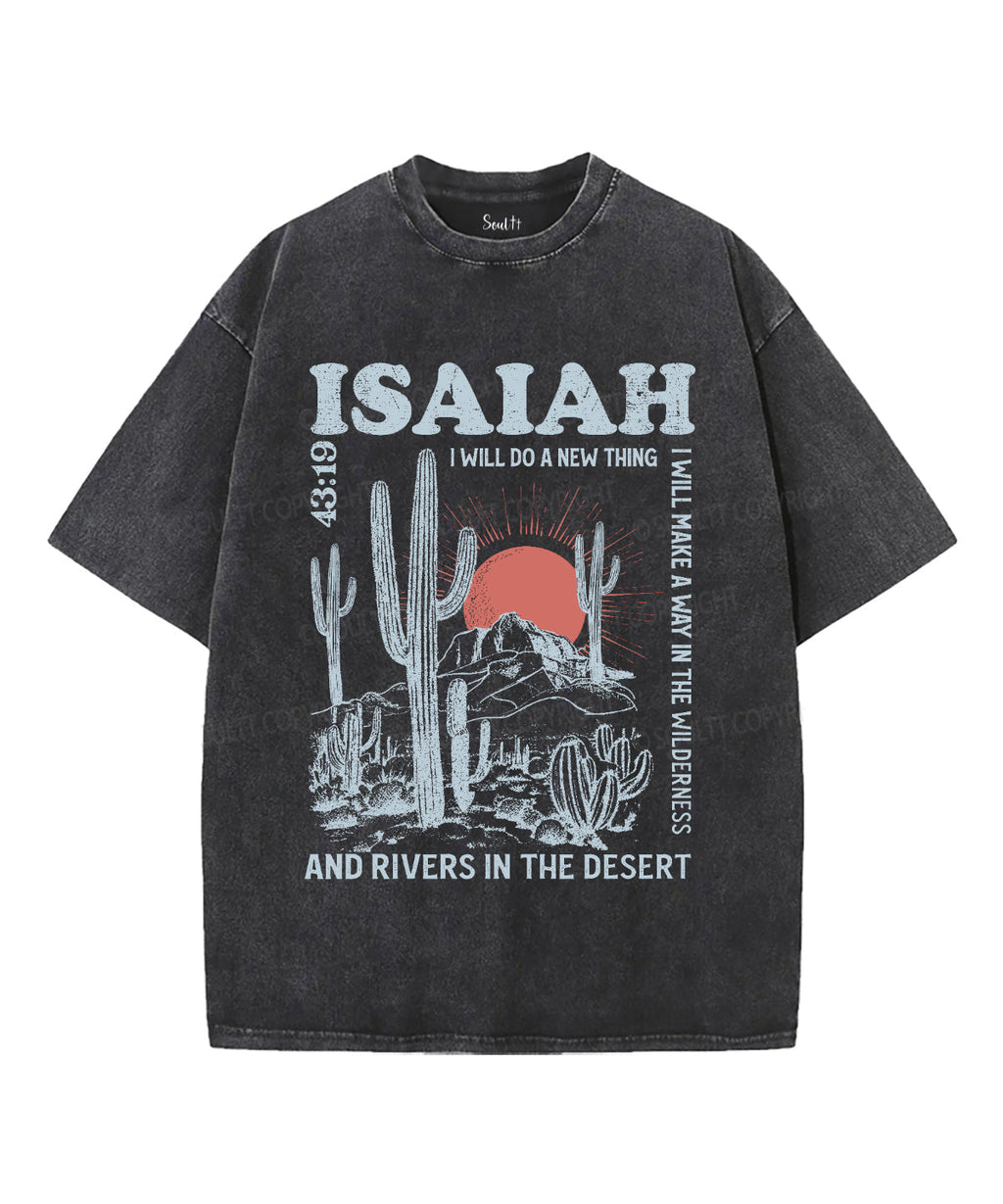 I Will Do New Thing Washed Christian T-Shirts, Hoodie, Sweatshirt