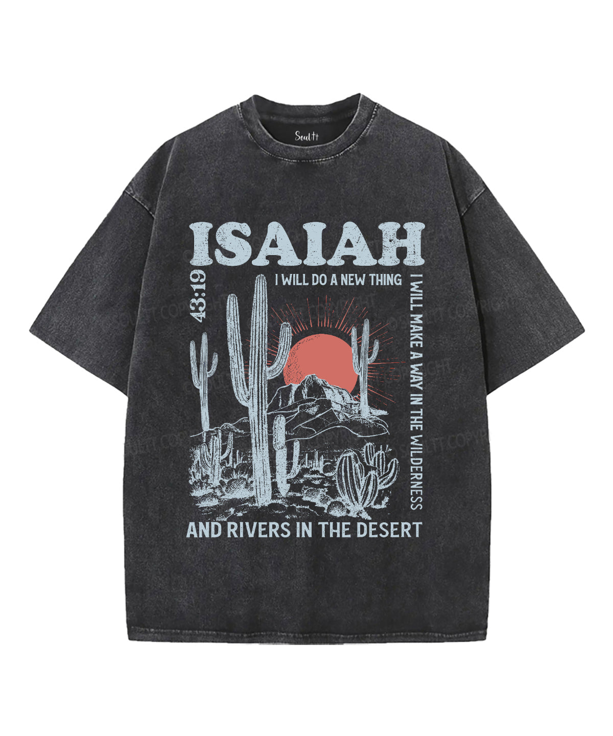 I Will Do New Thing Washed Christian T-Shirts, Hoodie, Sweatshirt