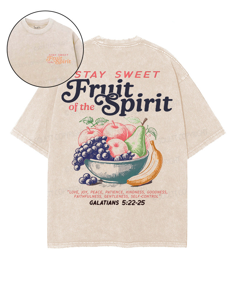 Fruit Of The Spirit Double Sided Unisex Washed Christian T-shirt Style019 Hoodie, Sweatshirt | CiraTrend.com (Image 1)