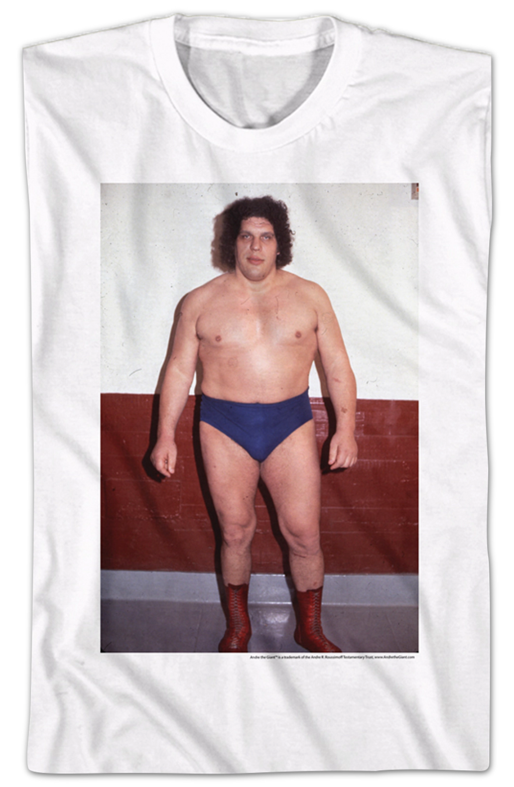Eighth Wonder of the World Andre The Giant T-Shirt Hoodie, Sweatshirt | CiraTrend.com (Image 2)