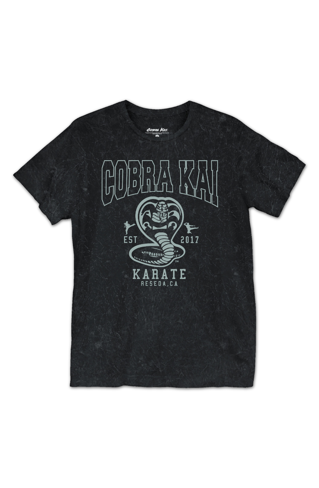 Est. 2017 Cobra Kai T-Shirt Hoodie, Sweatshirt | CiraTrend.com (Image 2)