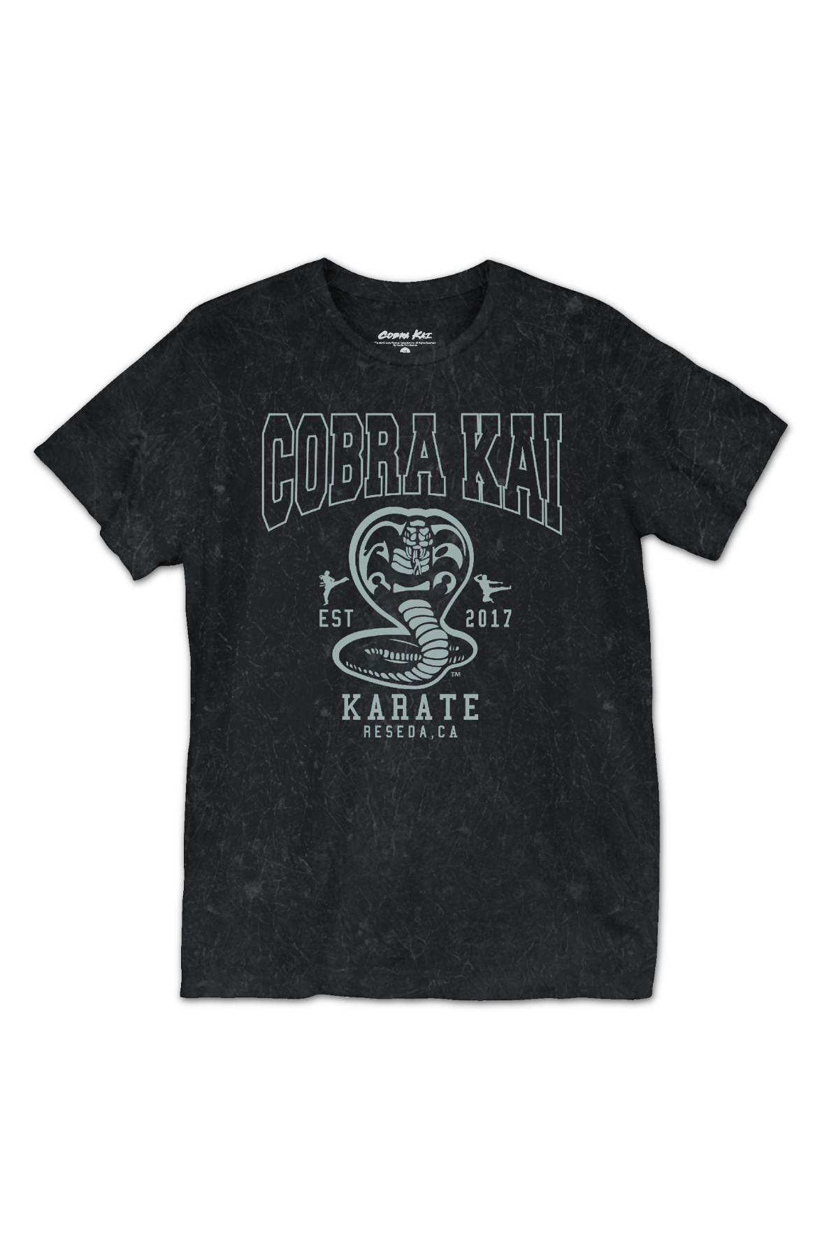 Est. 2017 Cobra Kai T-Shirt Hoodie, Sweatshirt | CiraTrend.com (Image 2)