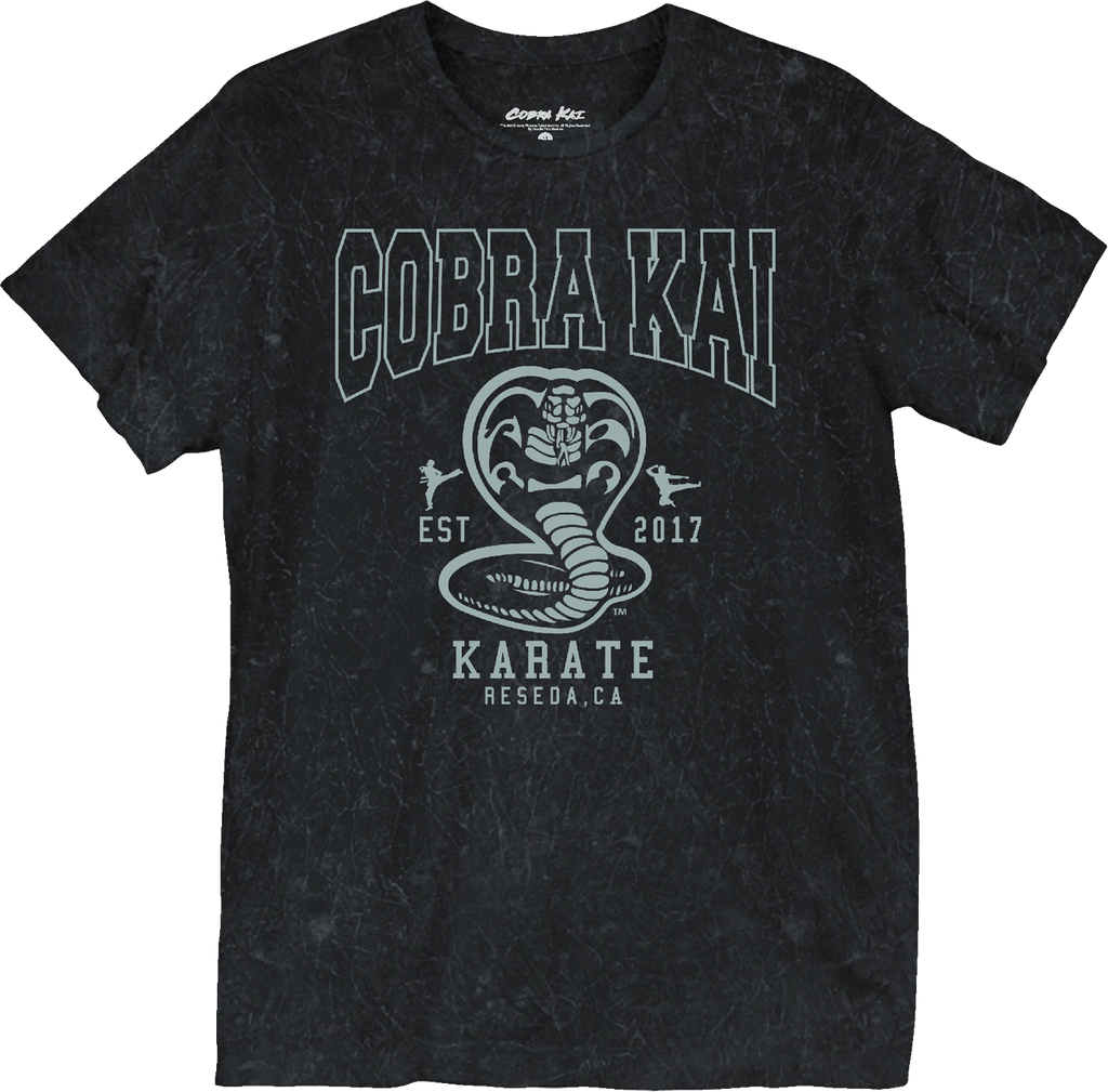 Est. 2017 Cobra Kai T-Shirt Hoodie, Sweatshirt | CiraTrend.com (Image 1)