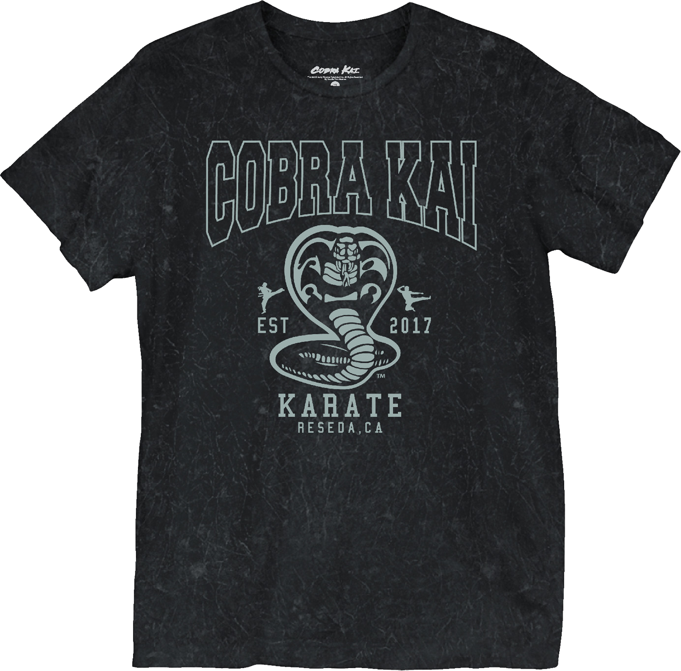 Est. 2017 Cobra Kai T-Shirt Hoodie, Sweatshirt | CiraTrend.com (Image 1)