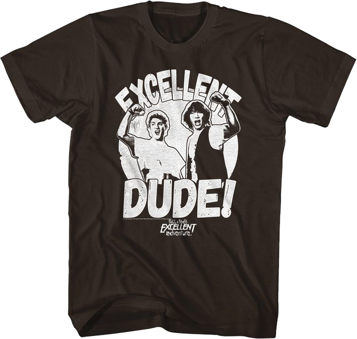 Excellent Dude Bill And Ted T-Shirt Hoodie, Sweatshirt | CiraTrend.com (Image 1)