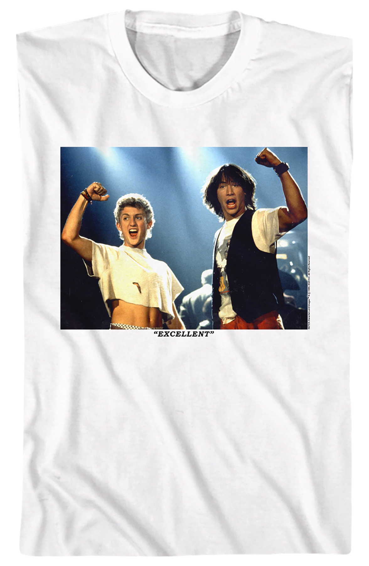 Excellent Framed Picture Bill and Ted T-Shirt Hoodie, Sweatshirt | CiraTrend.com