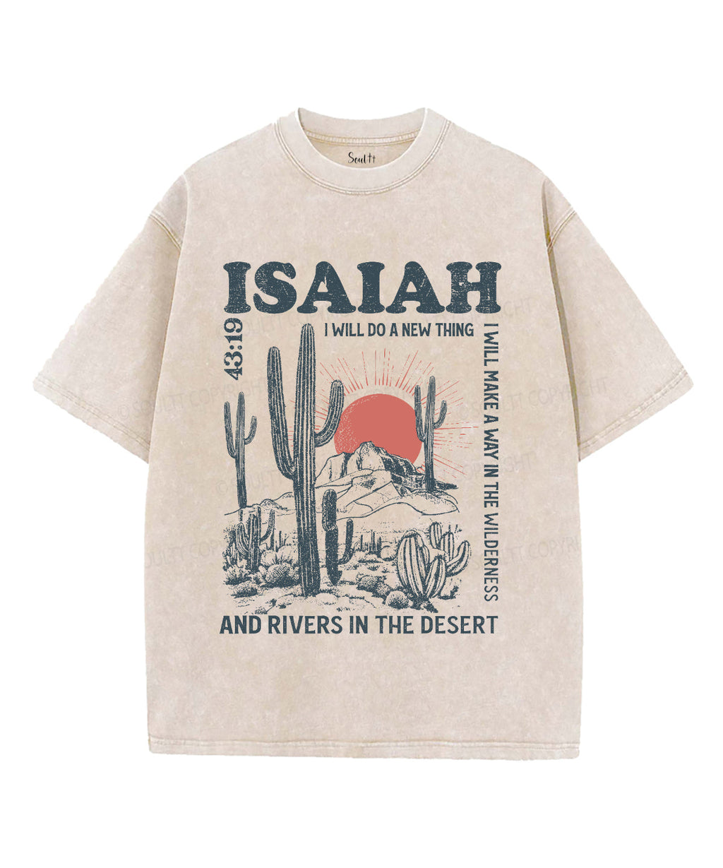 I Will Do New Thing Washed Christian T-Shirts, Hoodie, Sweatshirt