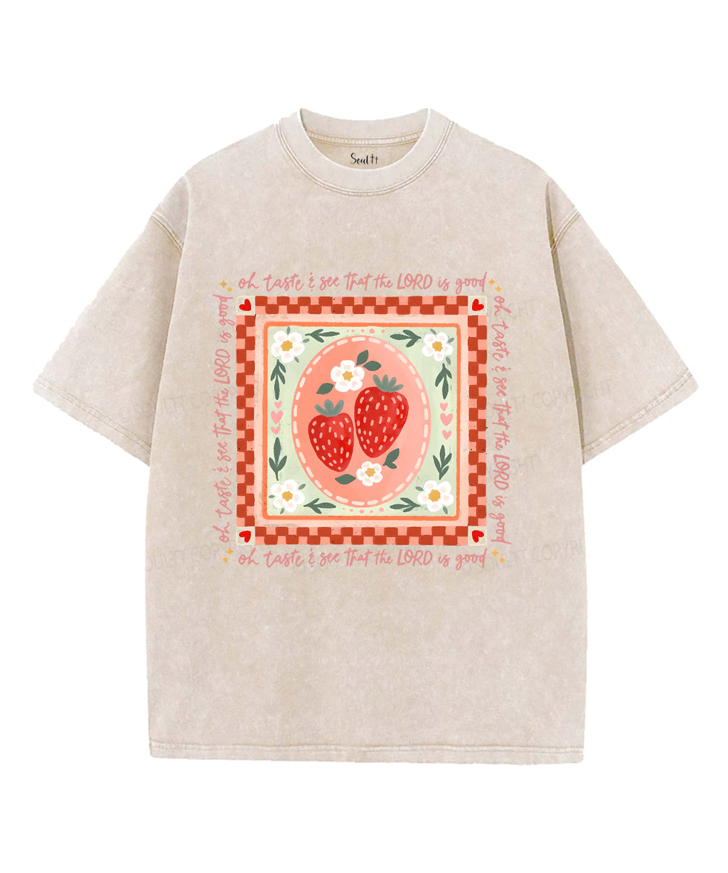 Fruit Of The Spirit Unisex Washed Christian T-shirt Style017 Hoodie, Sweatshirt | CiraTrend.com (Image 1)