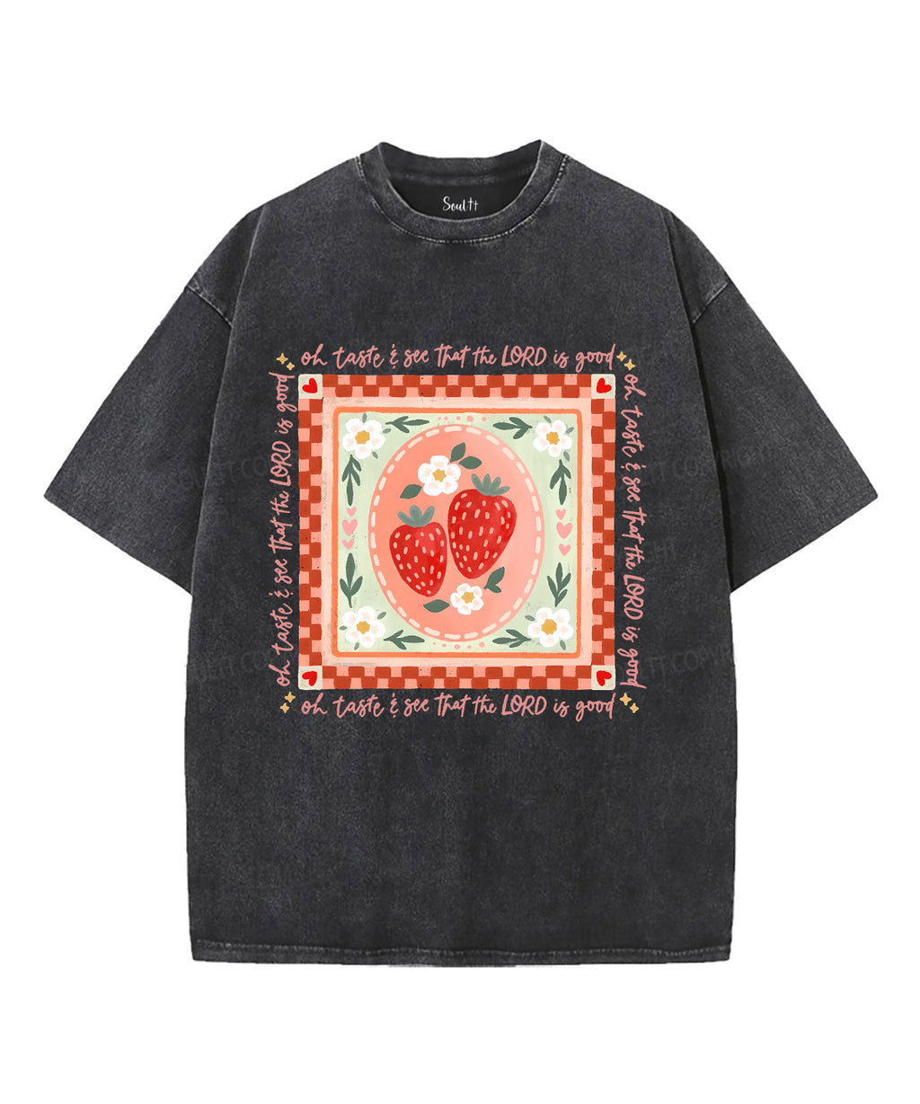 Fruit Of The Spirit Unisex Washed Christian T-shirt Style017 Hoodie, Sweatshirt | CiraTrend.com (Image 2)