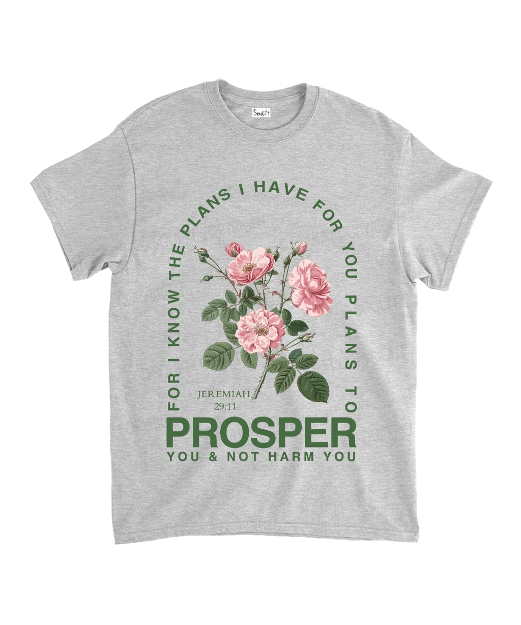 The Plans I Have For You Unisex Cotton Christian T-Shirt Hoodie, Sweatshirt | CiraTrend.com (Image 3)