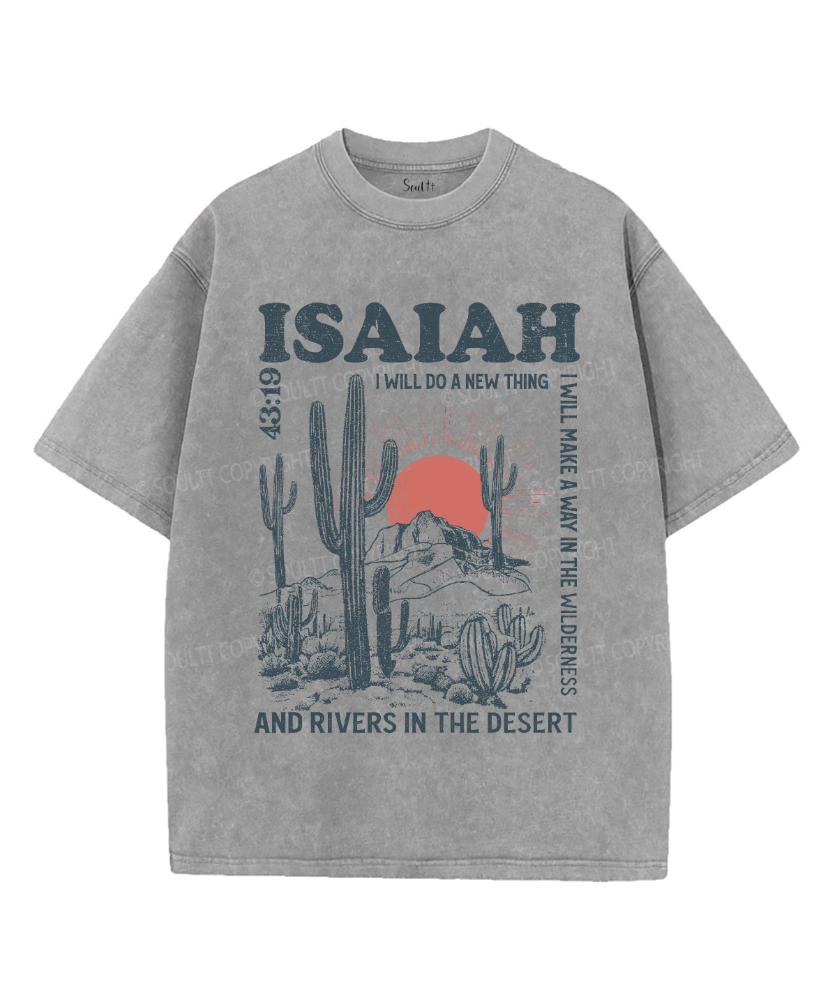 I Will Do New Thing Washed Christian T-Shirts, Hoodie, Sweatshirt
