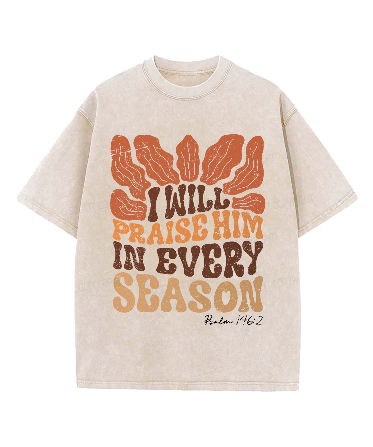 I Will Praise Hime Washed Christian T-shirt Hoodie, Sweatshirt | CiraTrend.com (Image 1)