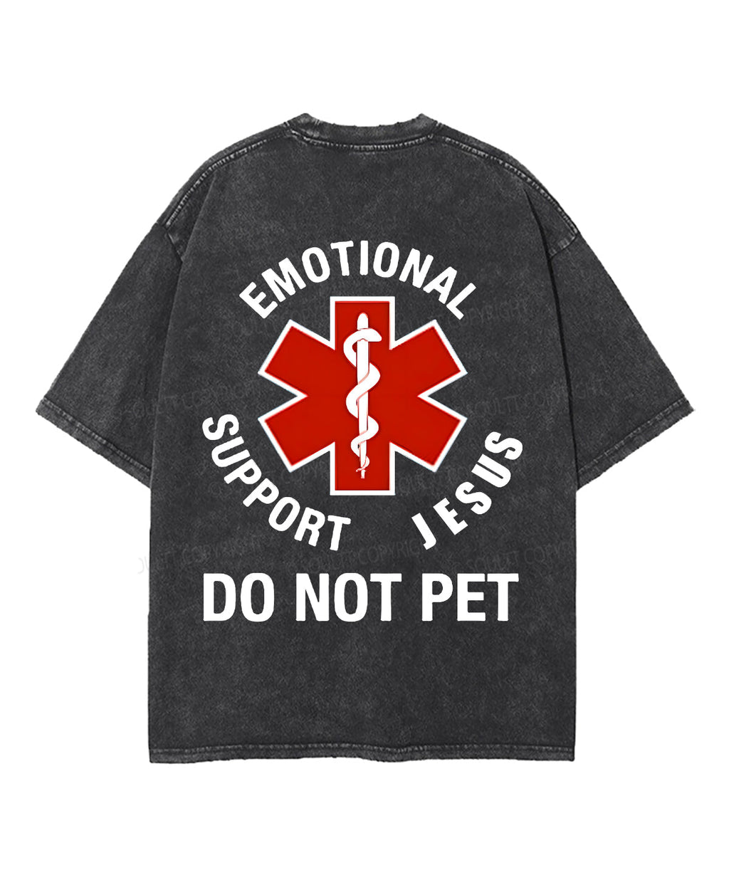 Do Not Pet Double Sided Washed Christian T-Shirts, Hoodie, Sweatshirt