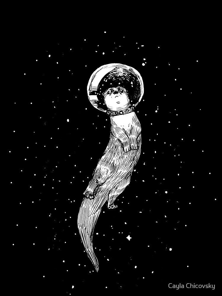 Drifting in Otter Space (best for color) by Cayla Chicovsky