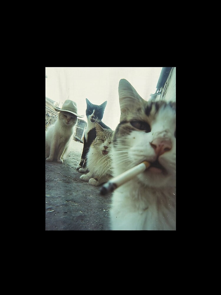 Smoking Cats Meme by BASKF