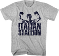 Flexing Italian Stallion Rocky T-Shirt Hoodie, Sweatshirt | CiraTrend.com (Image 1)
