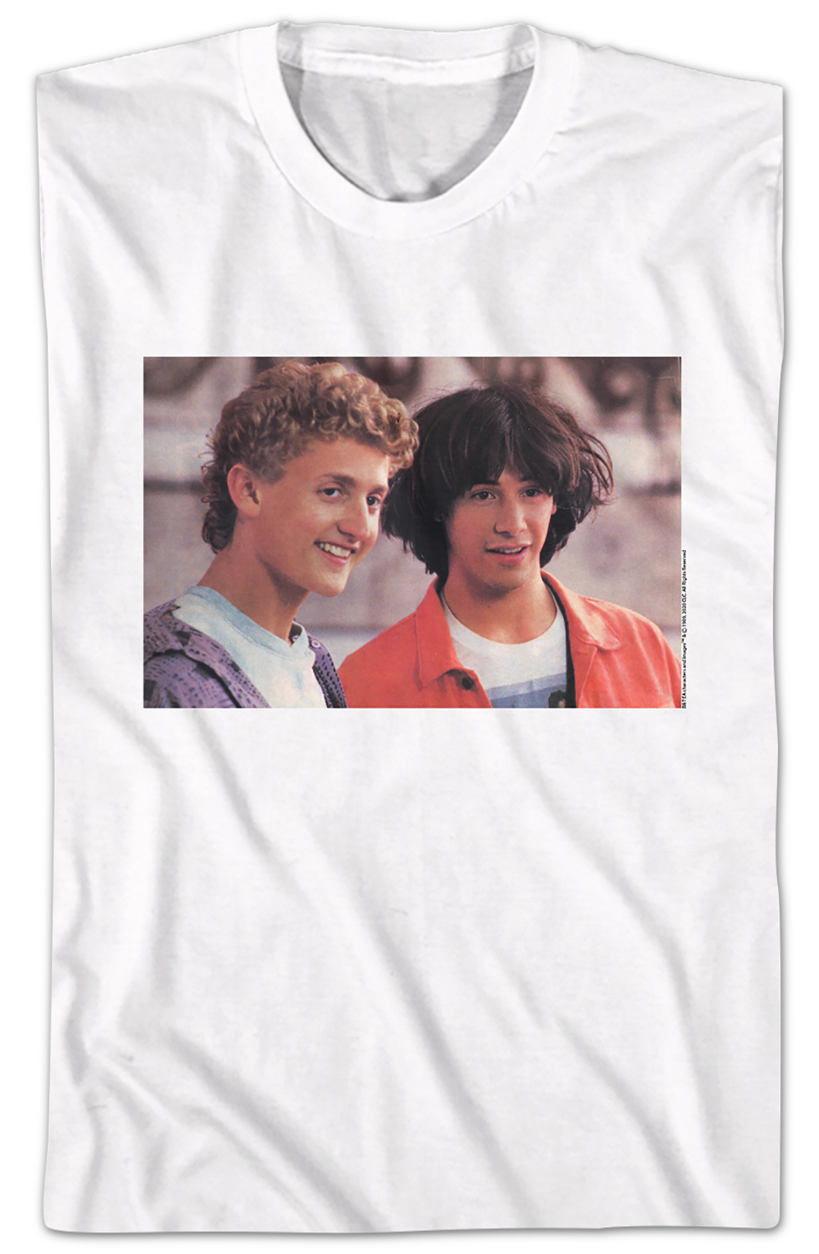 Framed Picture Bill Ted'S Excellent Adventure T-Shirts, Hoodie, Sweatshirt
