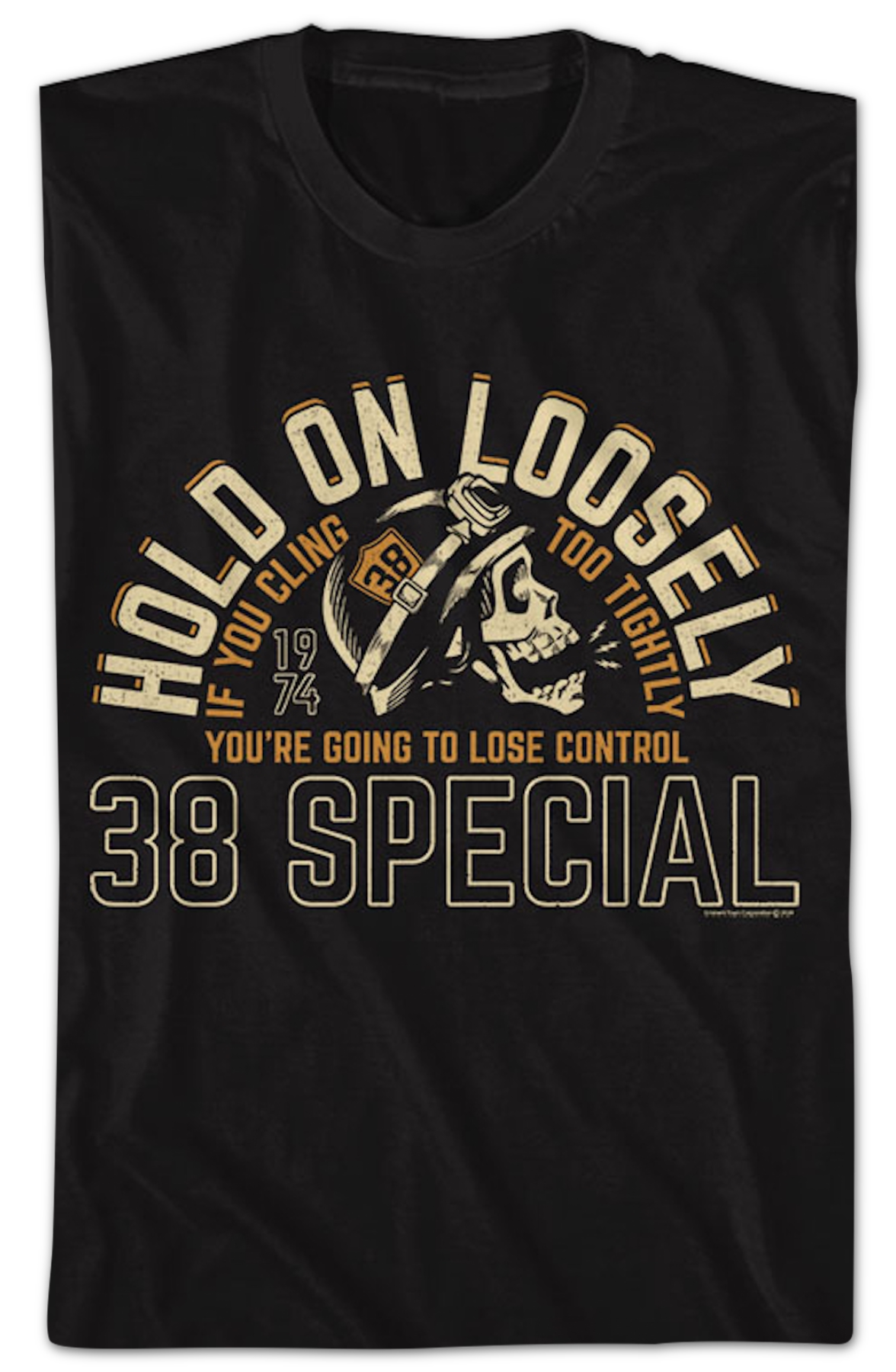 Front & Back Hold On Loosely 38 Special T-Shirt Hoodie, Sweatshirt | CiraTrend.com (Image 2)