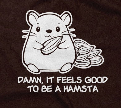 Damn It Feels Good To Be A Hamsta T-Shirt Hoodie, Sweatshirt | CiraTrend.com (Image 2)