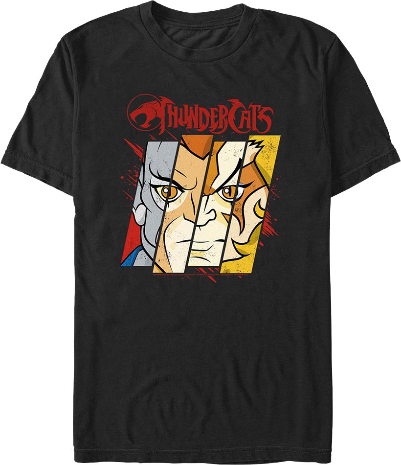 Hero Panels ThunderCats T-Shirt Hoodie, Sweatshirt | CiraTrend.com (Image 1)