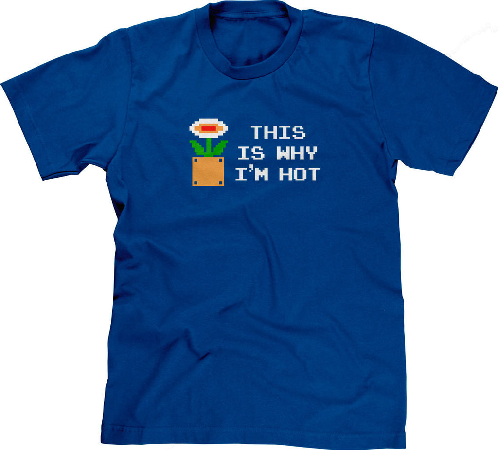 This Is Why I'm Hot T-Shirt Hoodie, Sweatshirt | CiraTrend.com (Image 1)