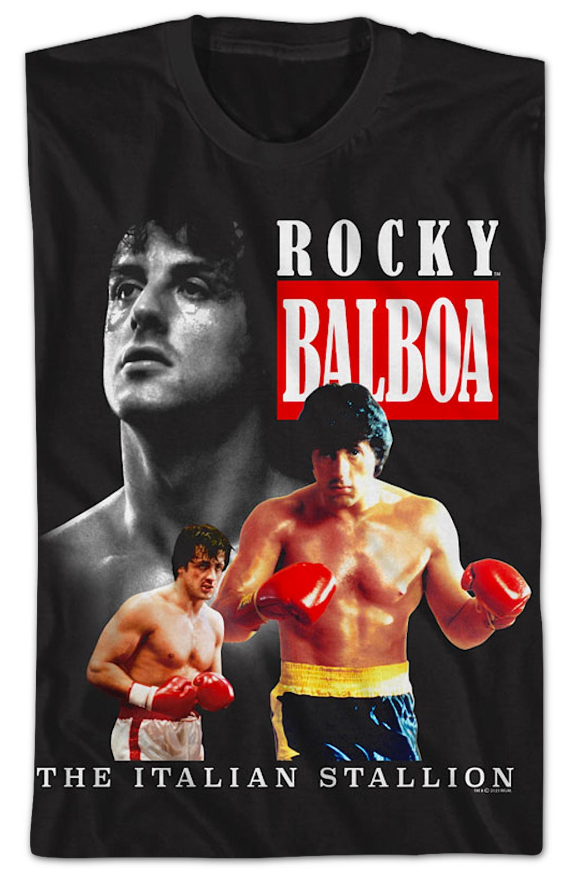 Italian Stallion Collage Rocky T-Shirts, Hoodie, Sweatshirt