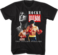 Italian Stallion Collage Rocky T-Shirts, Hoodie, Sweatshirt